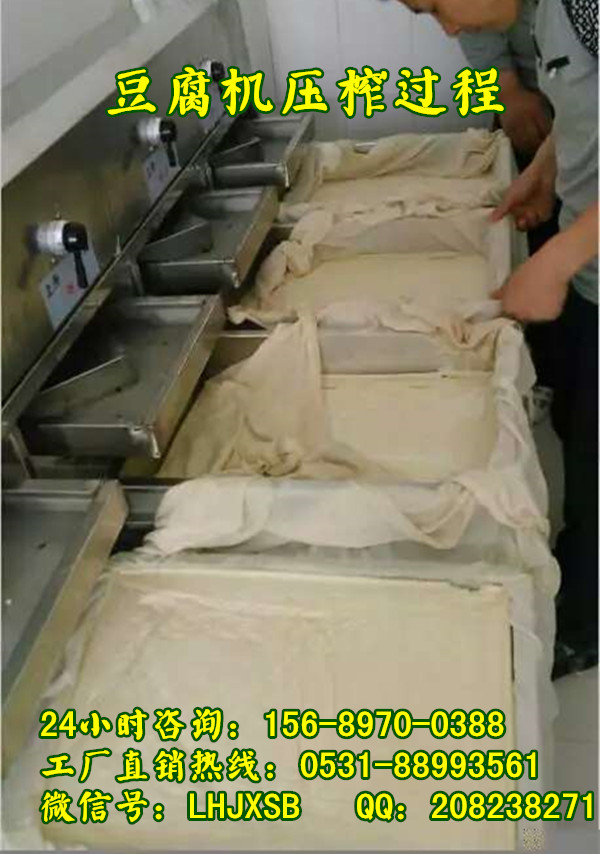 ӹ±ˮеƵ,򶹸ɻ۸,๦ܶ۸