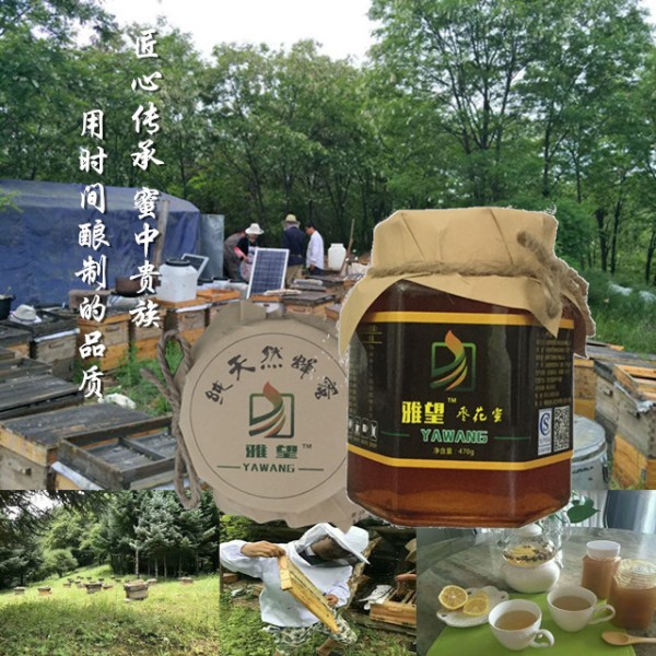 ۴ȻȾɽ滨