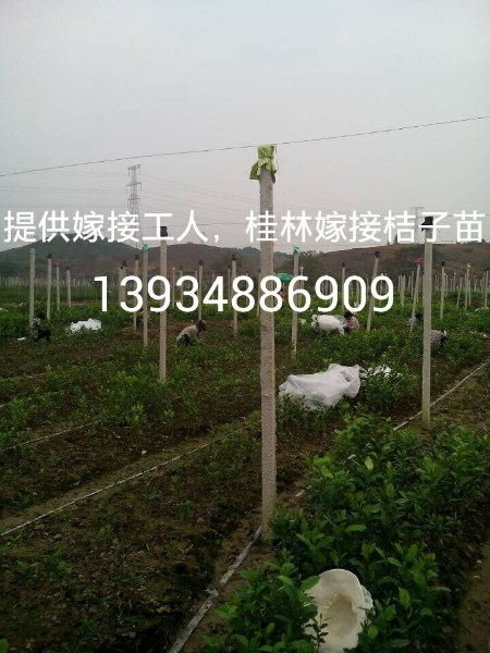 ޽ӹ ޽ӹ רҵ޽ӹ ޽ӹ
