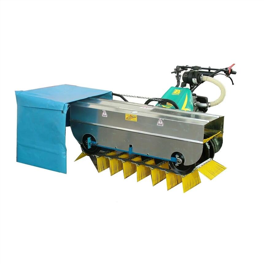 ʽɨػ agrimaglie Bertolini 140