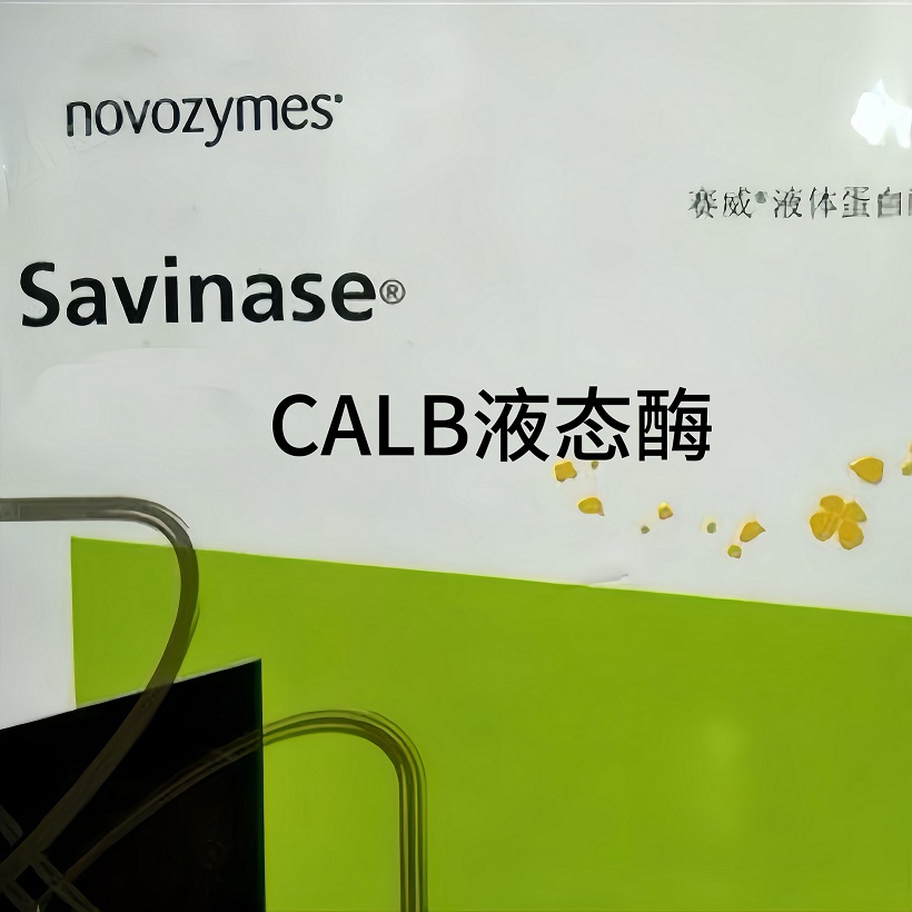 ŵά Novozyme Lipozyme CALB L ֬ø