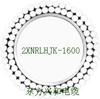 2x(NRLHJK1600)֧