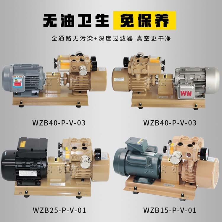 ϺձWZB25-P-VB-03ŻƬ