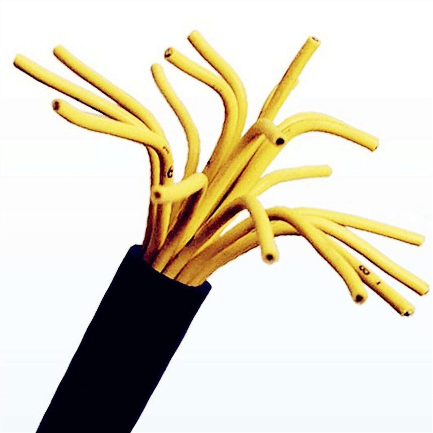 AZVP-0.3/0.5KV2*1.0+14*0.5±