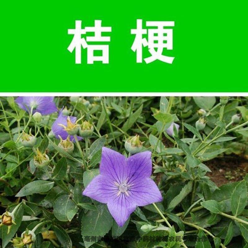 ۹Ӽ۸۹粽