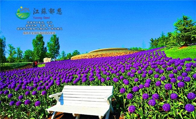 ³ľлһ廯ʩԷ