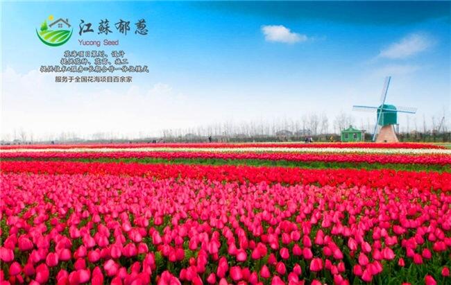 ³ľлһ廯ʩԷ