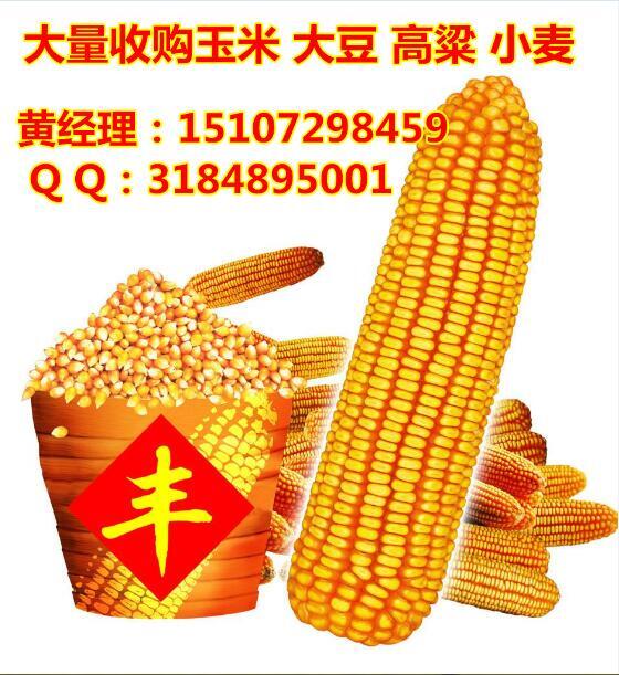 ʲôչ/񷢴չ
