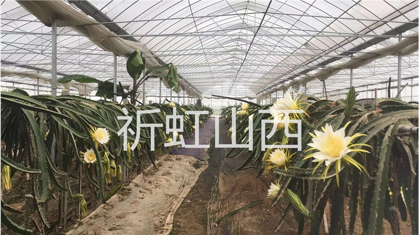 ߲˻ֲ ɽ