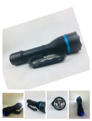 ɽSPY638ֵͲ2023Ѹ£/飩