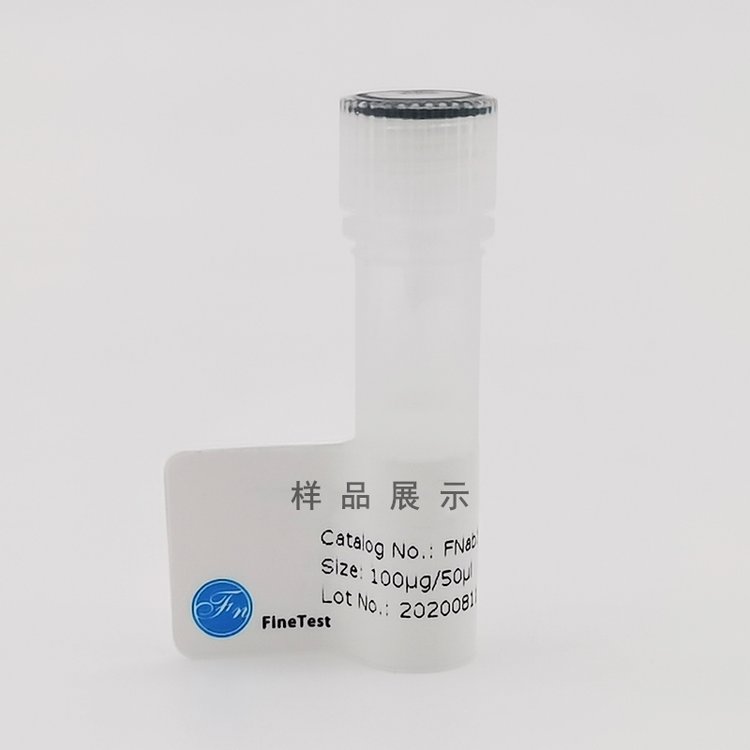 Syntaxin8(anti-Syntaxin8antibody)