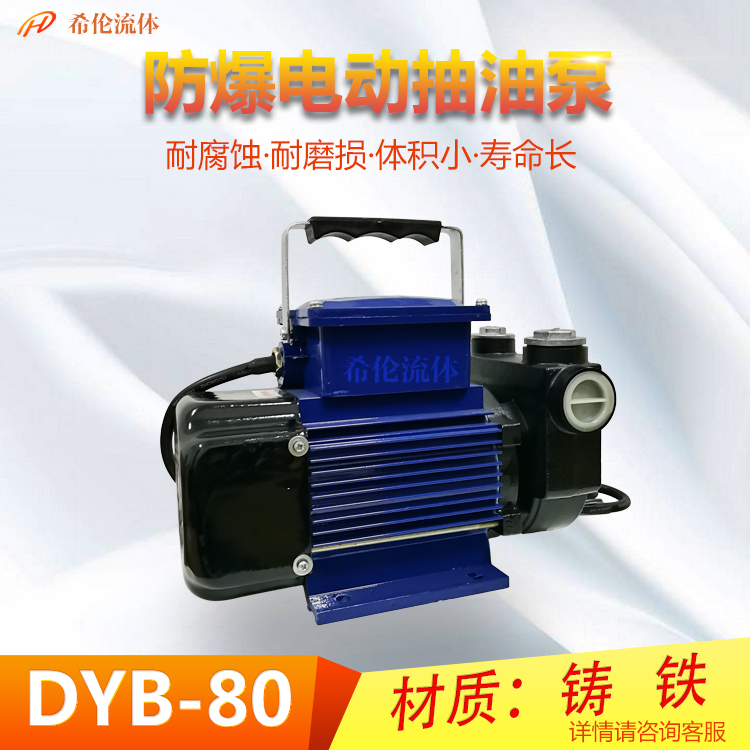 ϣͭҶͼ״DYB-80綯ͱ0.75KW
